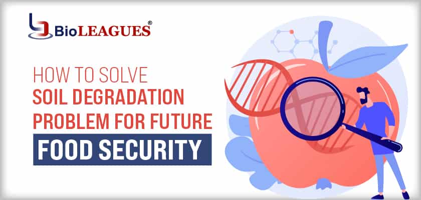 How to Solve Soil Degradation Problem for Future Food Security